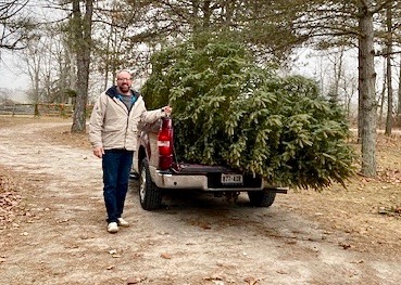 12&#39; tree